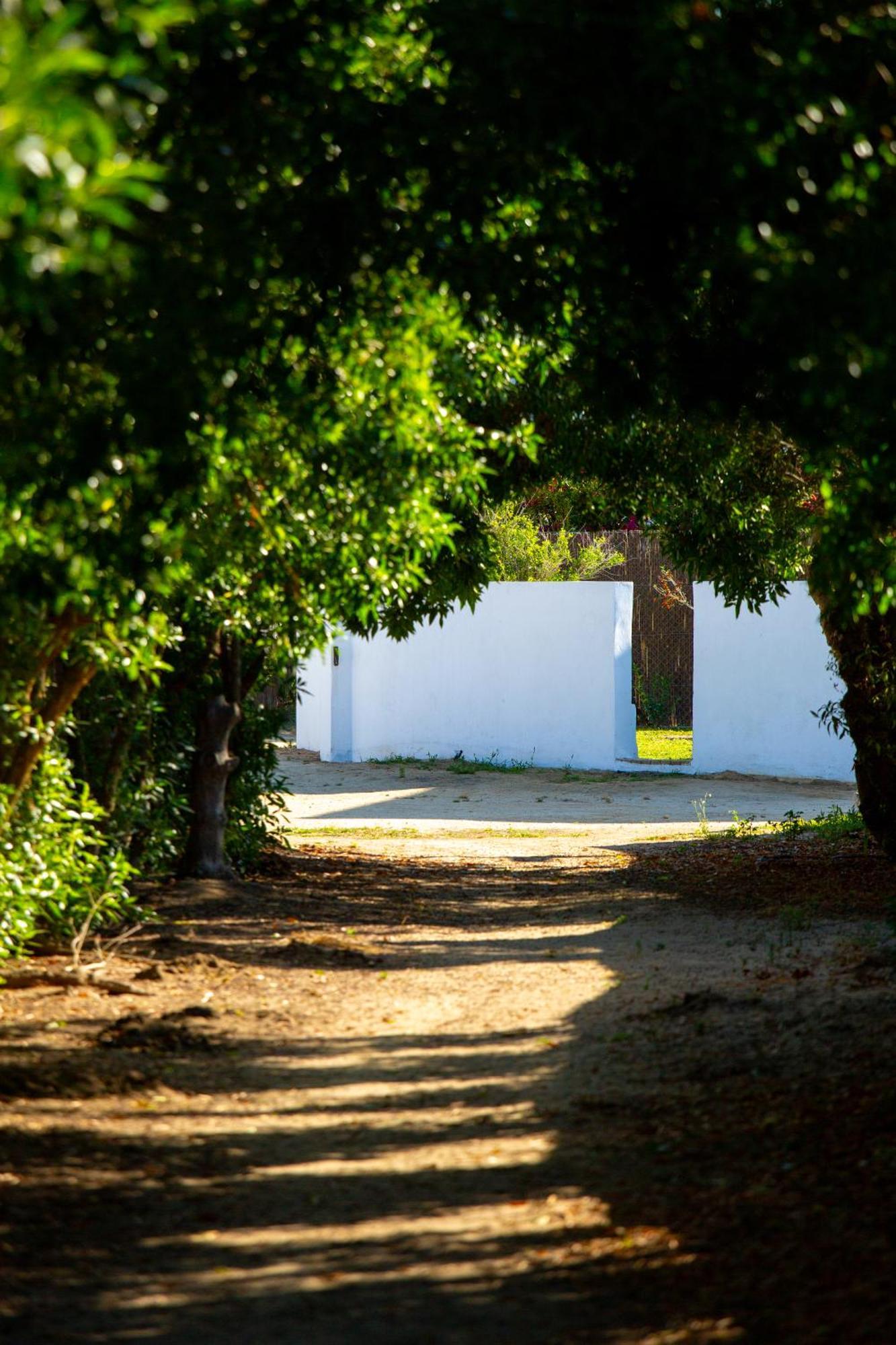 Casara Seis O Casara Siete - Tu Casa A 100M De La Playa De Zahora旅馆 外观 照片