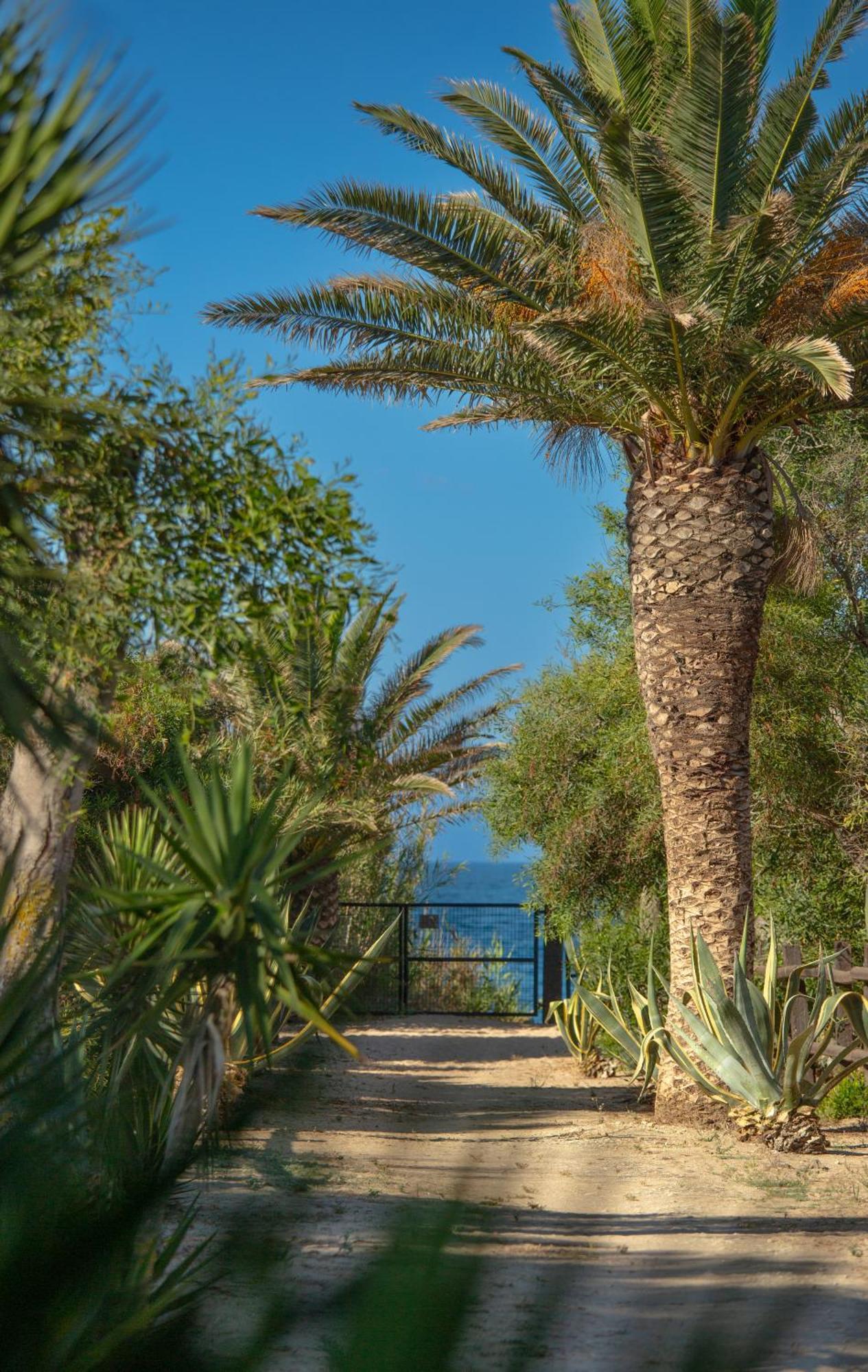 Casara Seis O Casara Siete - Tu Casa A 100M De La Playa De Zahora旅馆 外观 照片