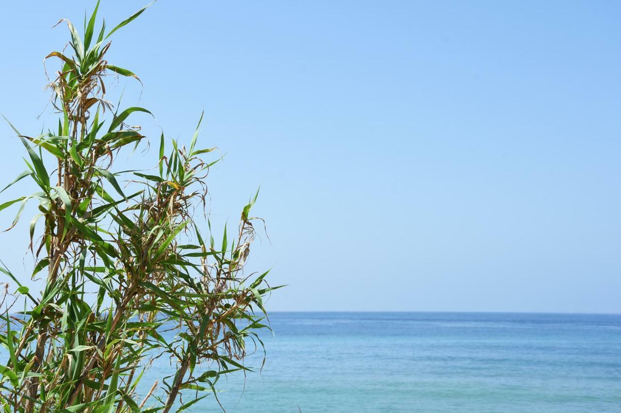 Casara Seis O Casara Siete - Tu Casa A 100M De La Playa De Zahora旅馆 外观 照片