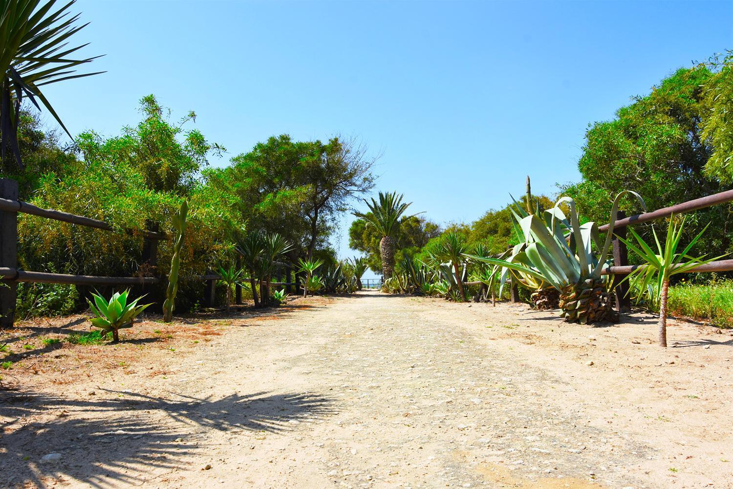 Casara Seis O Casara Siete - Tu Casa A 100M De La Playa De Zahora旅馆 外观 照片