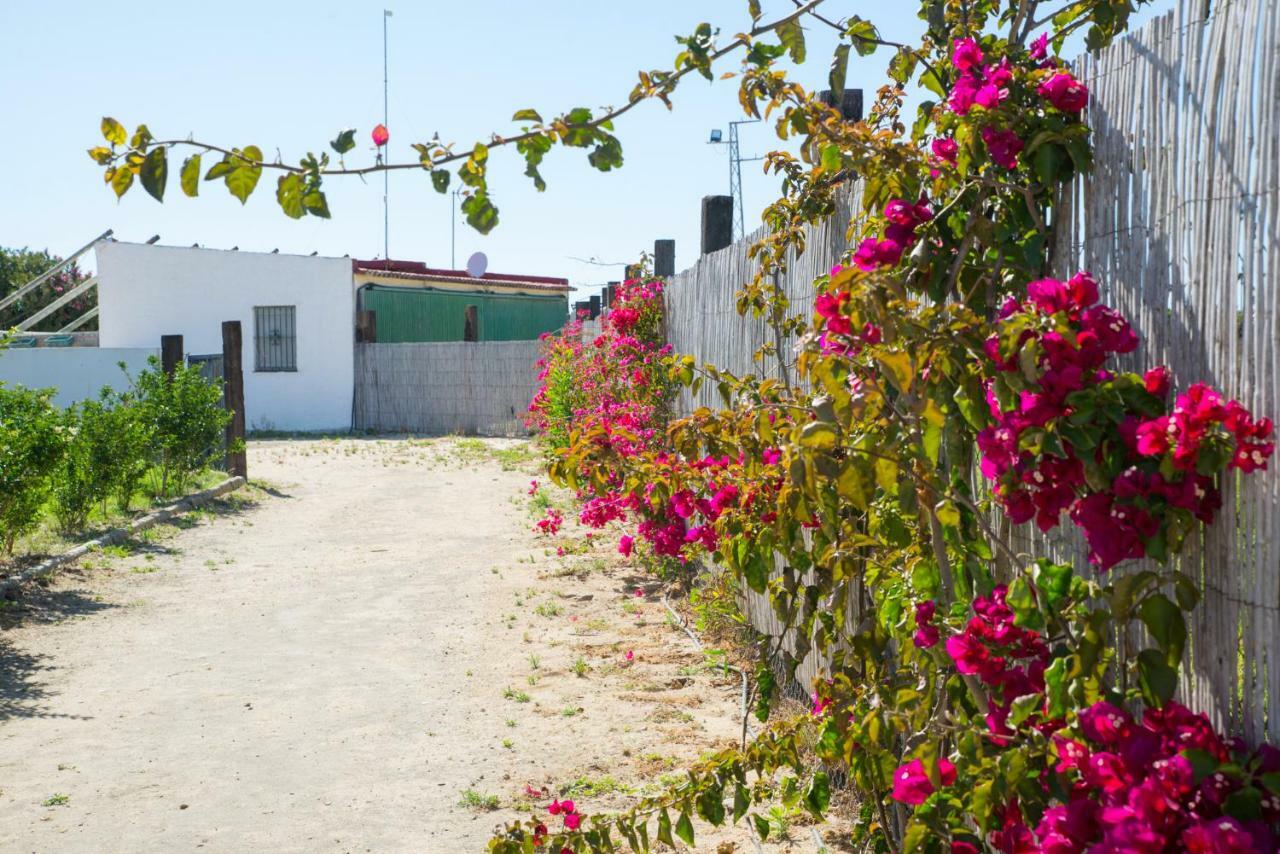 Casara Seis O Casara Siete - Tu Casa A 100M De La Playa De Zahora旅馆 外观 照片