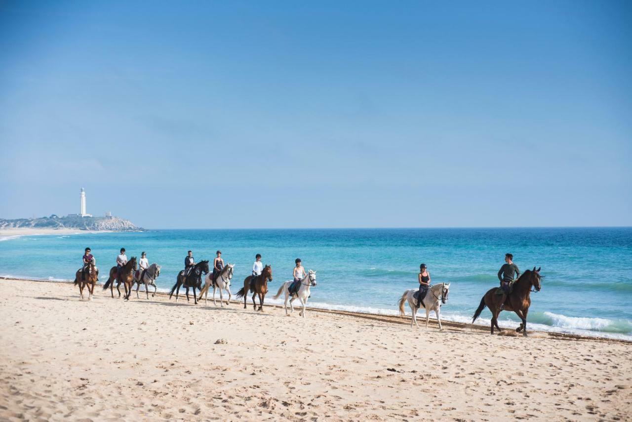 Casara Seis O Casara Siete - Tu Casa A 100M De La Playa De Zahora旅馆 外观 照片